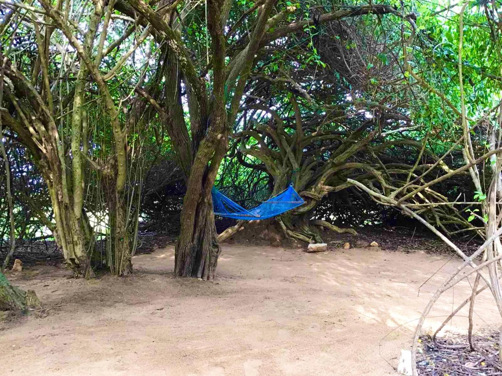 Yala Podi Hoona Bush Camp Hotel Exterior foto